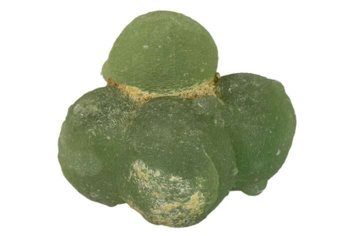 Botryoidal Prehnite Formation- Mali #137520